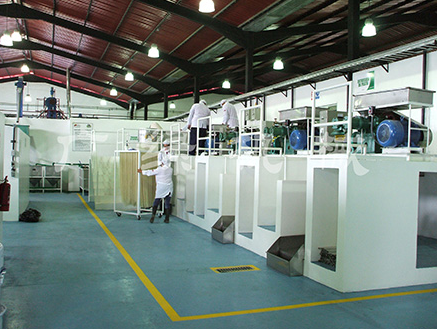 米粉生產線自動化